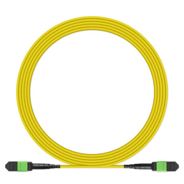 MPO optical patchcord